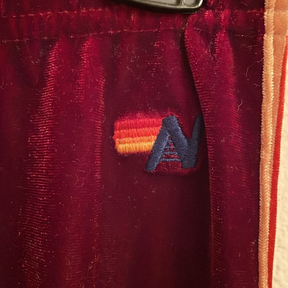 Aviator Nation Velvet Joggers . Excellent condition . - Picture 3 of 8